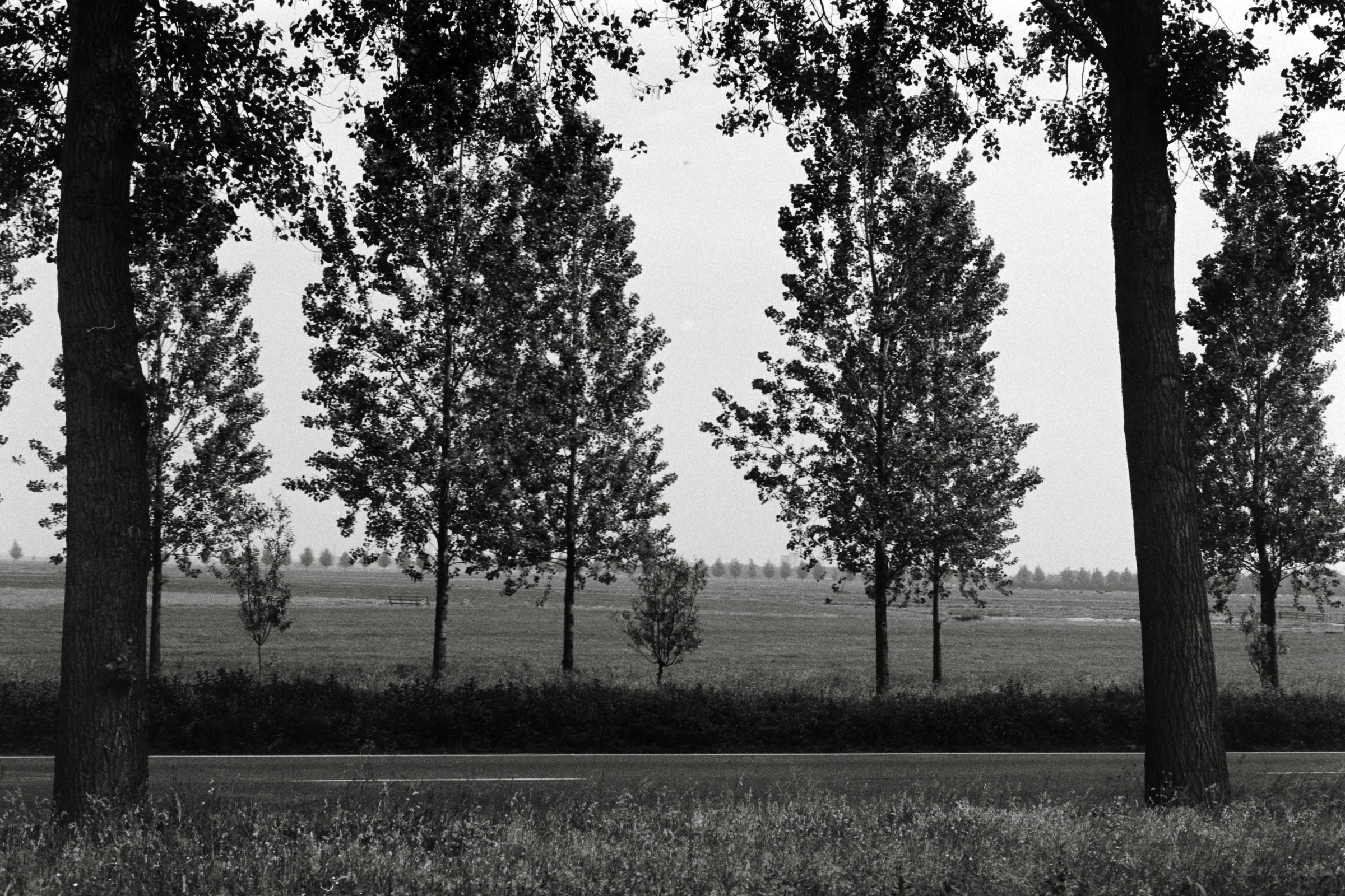 AHP F1992 06 002 sc250507 img26 NLP